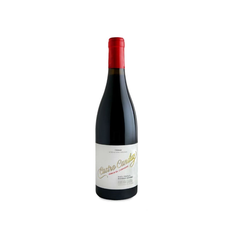 Castro Candaz Finca El Curvado 2021