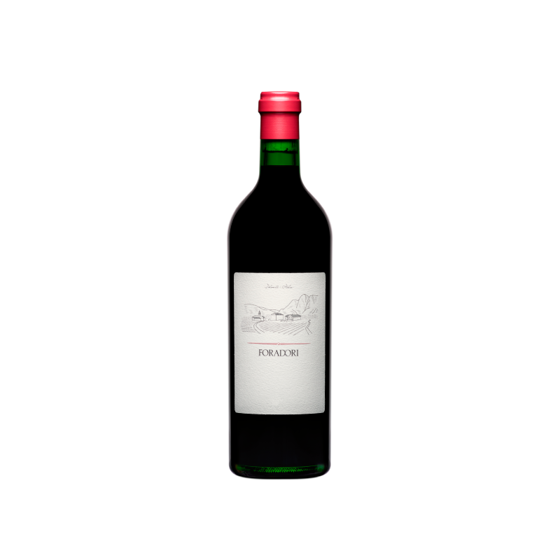 Foradori Teroldego 2023