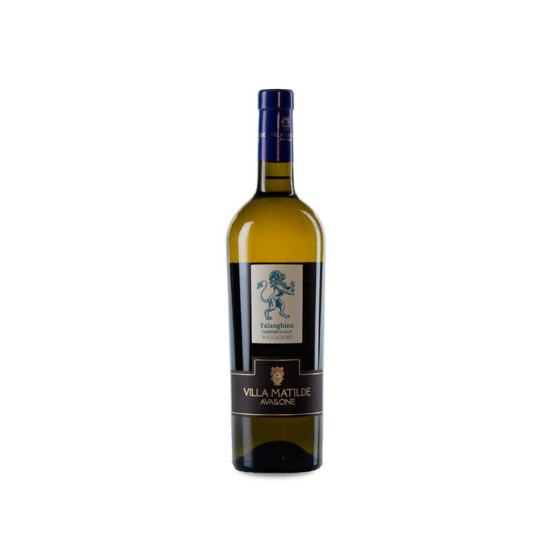 Villa Matilde Falanghina Rocca Dei Leoni 2023