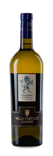 Villa Matilde Falanghina Rocca dei Leoni Villa Matilde Falanghina Rocca dei Leoni