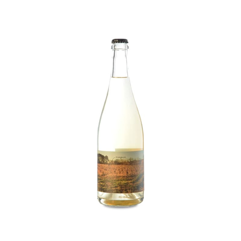 Vinyes Singulars Minipuça 2023