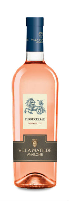 Villa Matilde Terre Cesare 2023 | Decantalo Vinos (1x75cl)