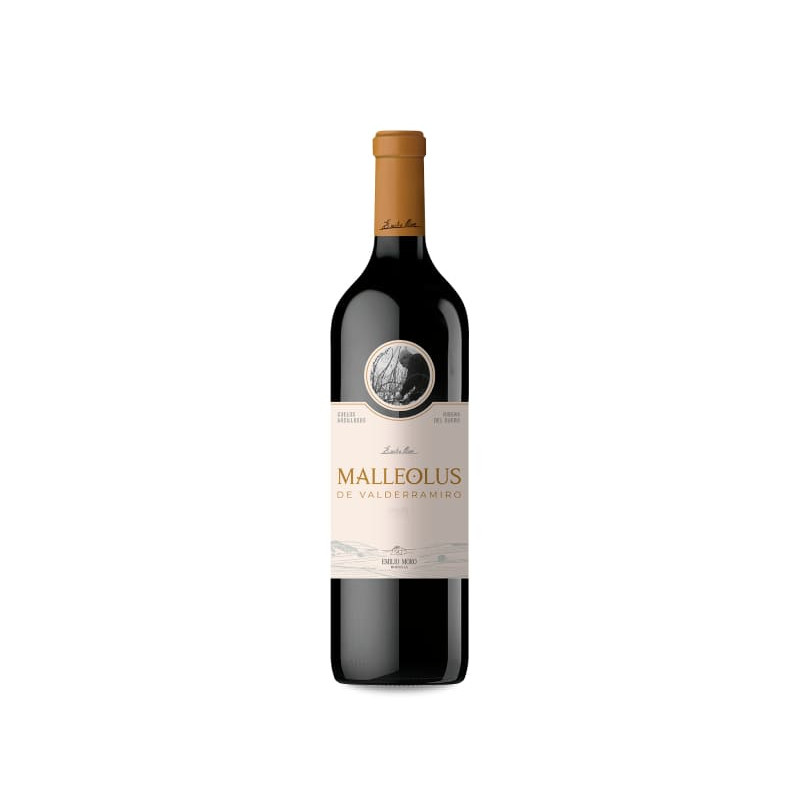 Malleolus De Valderramiro 2021