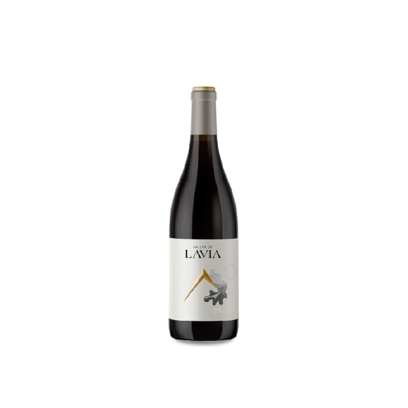 Lavia Valles De Lavia Valle Del Aceniche 2021
