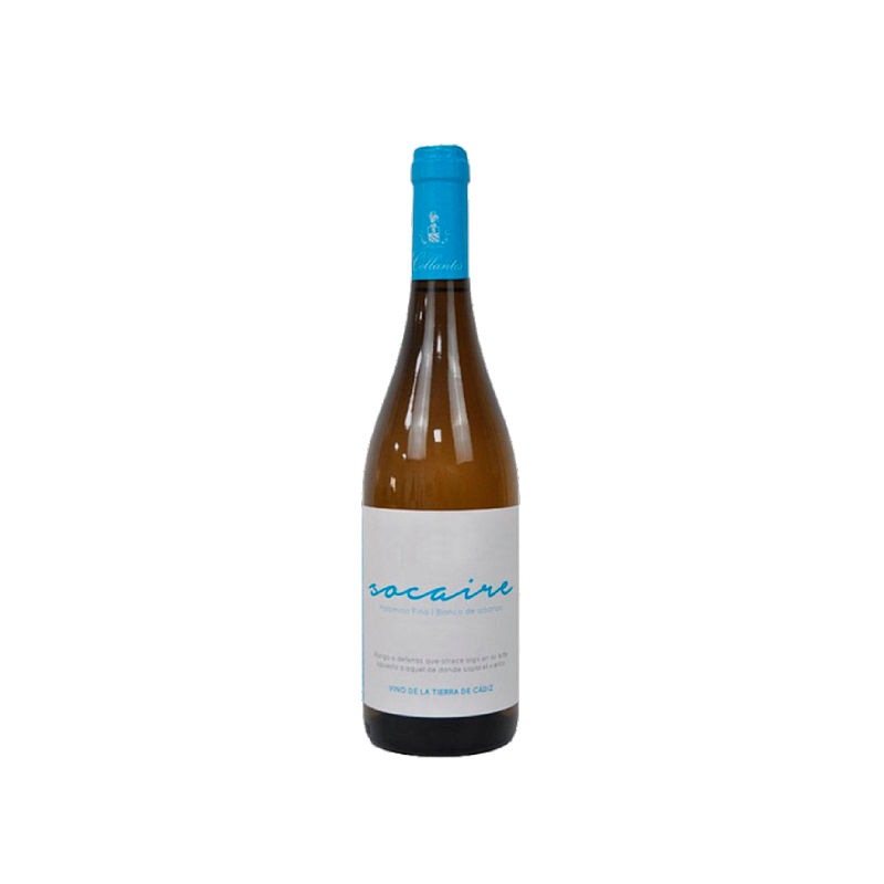 Primitivo Collantes Socaire 2022
