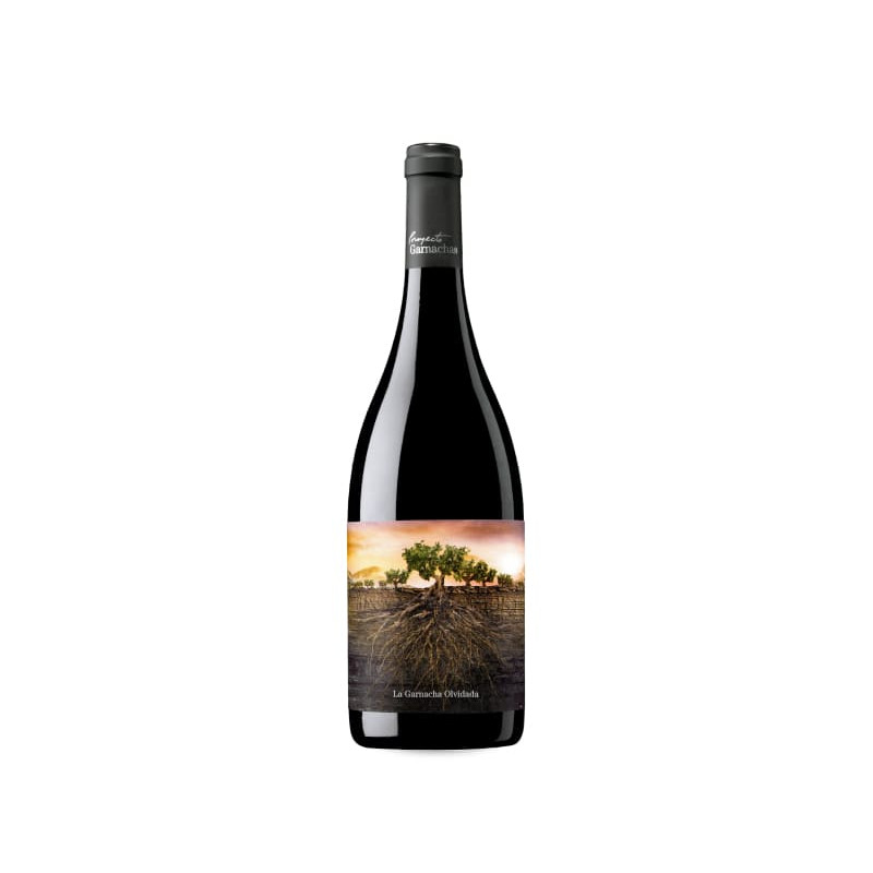 La Garnacha Olvidada De Aragón 2022