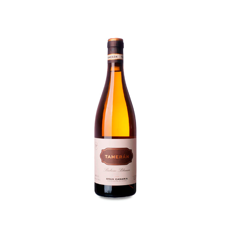 Tamerán Baboso Blanco 2022 2023