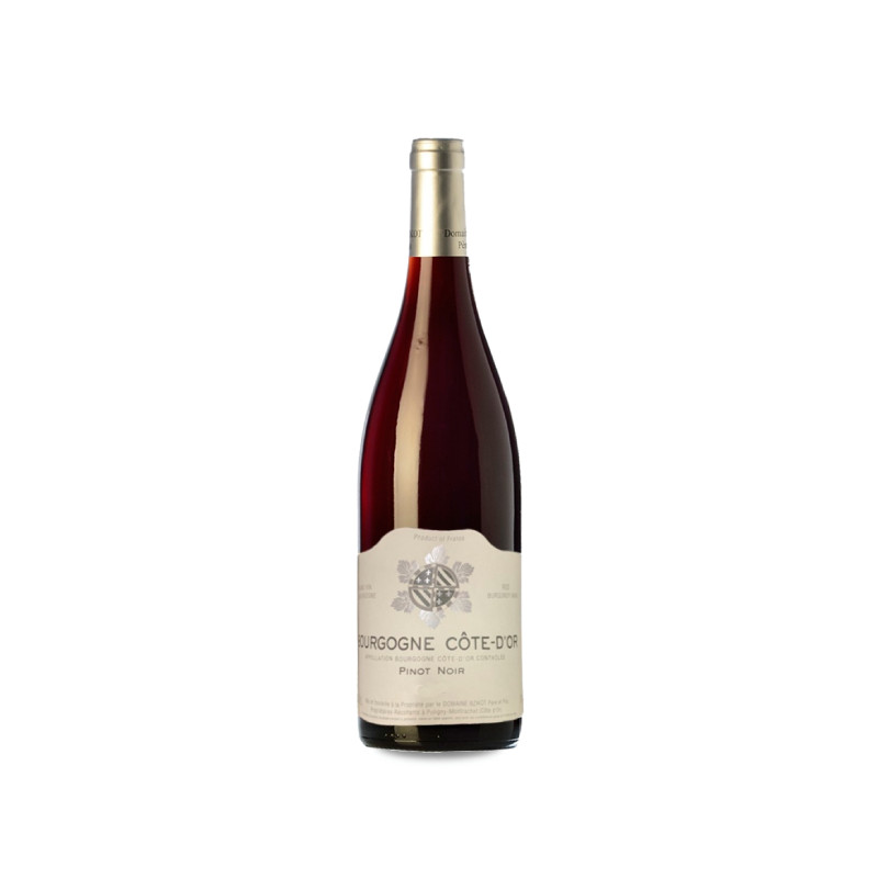 Domaine Sylvain Bzikot Bourgogne Cote D'Or Pinot Noir 2020 2022