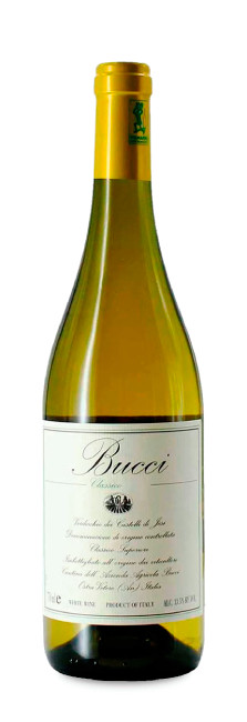 Bucci Verdicchio dei Castelli di Jesi Classico Bucci Verdicchio dei Castelli di Jesi Classico