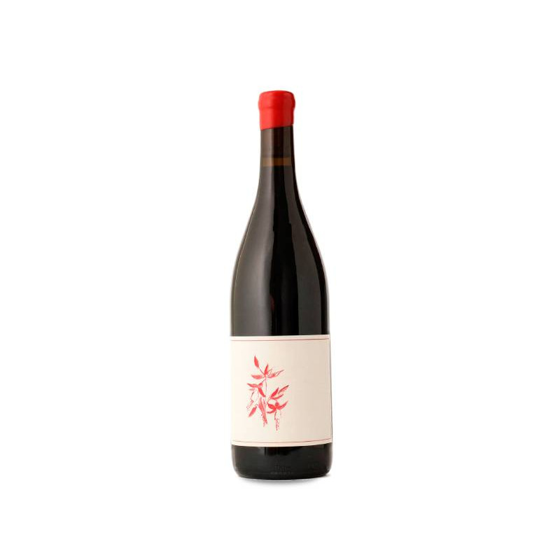 Arnot-Roberts Heaven And Earth Pinot Noir 2023