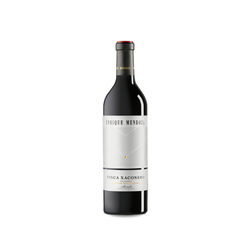Enrique Mendoza Finca Xaconero 2017 2022