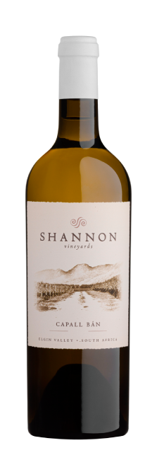 Shannon Capall Bán Shannon Capall Bán