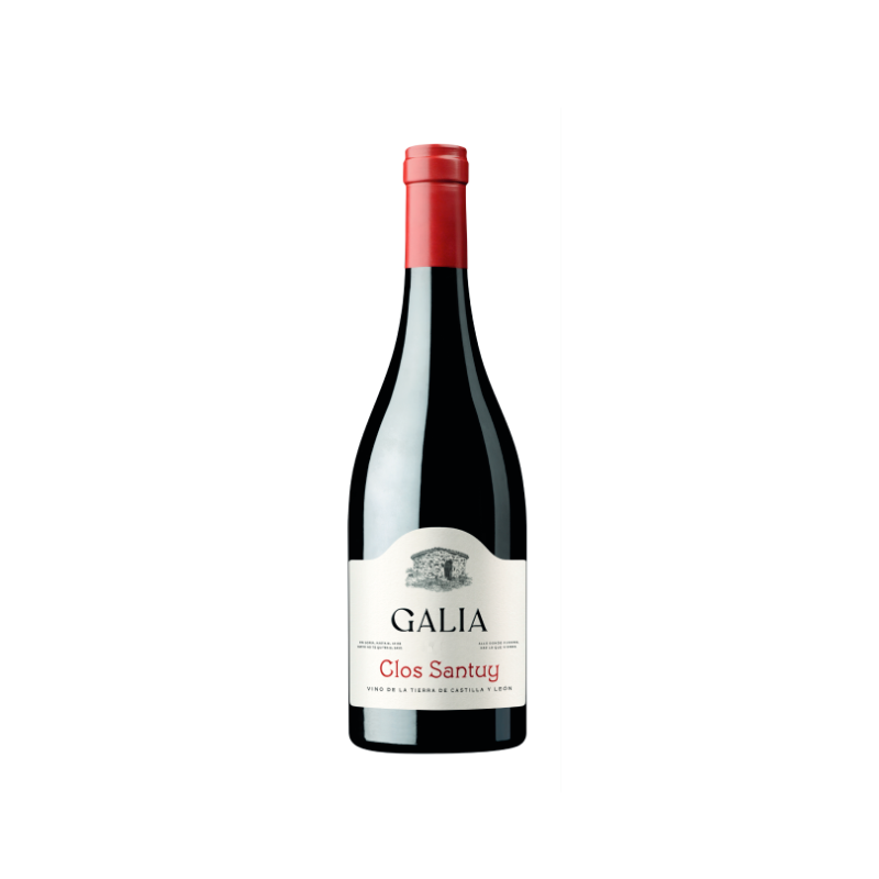 Galia Clos Santuy 2022