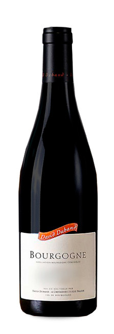 David Duband Bourgogne Rouge 2023 | Decantalo Vinos (1x75cl)