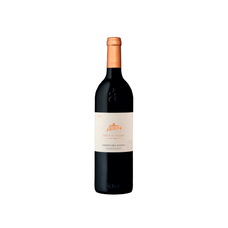 Áster Finca El Otero 2021