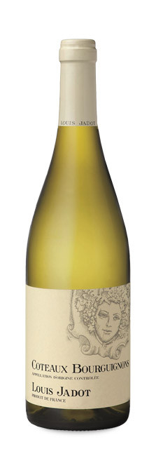 Louis Jadot Coteaux Bourguignons Blanc 2023