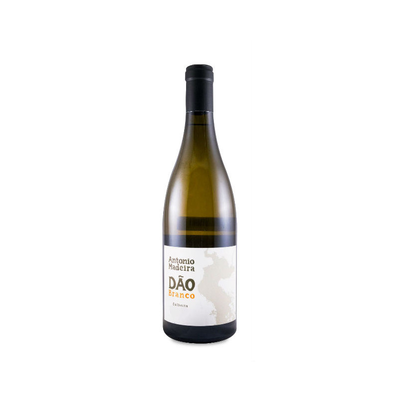 António Madeira Branco 2023