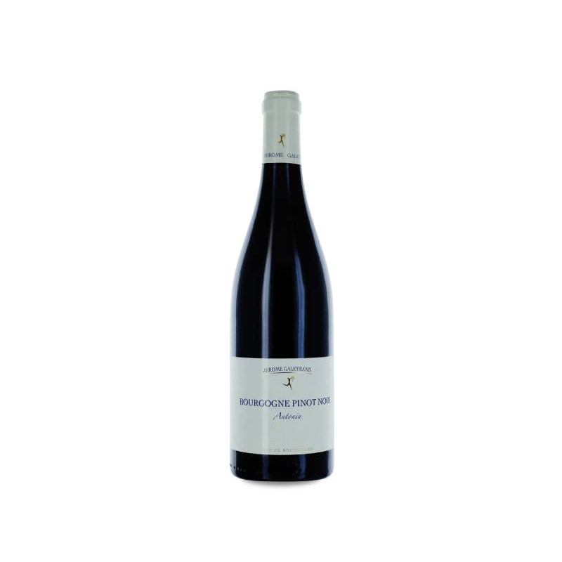 Jérôme Galeyrand Bourgogne Antonin 2023