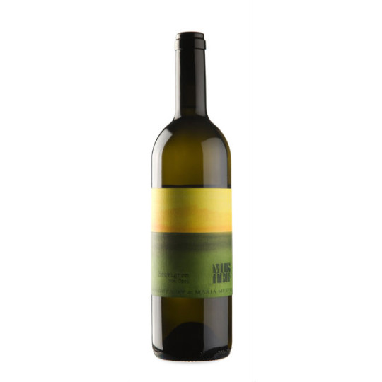 Muster Sauvignon vom Opok 2023