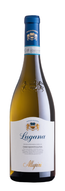 Allegrini Lugana Oasi Mantellina DOC 2024 | Decantalo Vinos (1x75cl)
