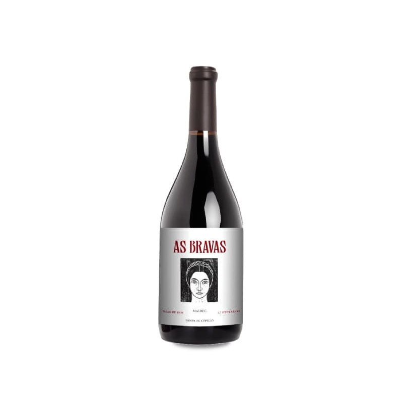 El Enemigo As Bravas Malbec El Cepillo 2017