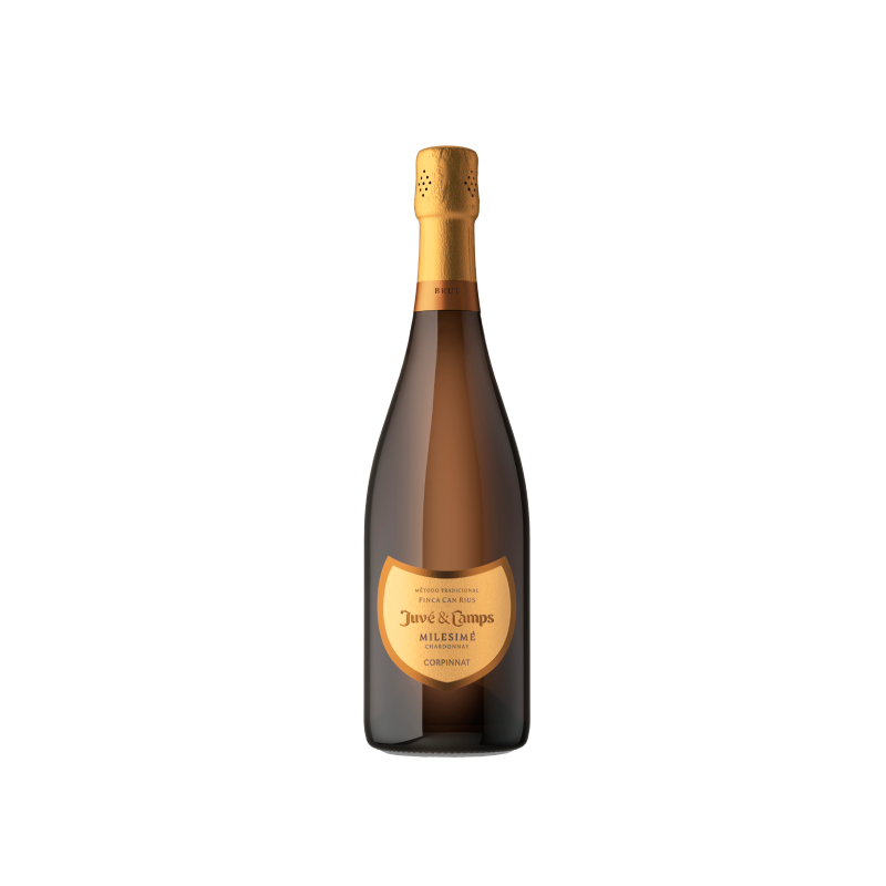 Juvé & Camps Milésimé Chardonnay 2021