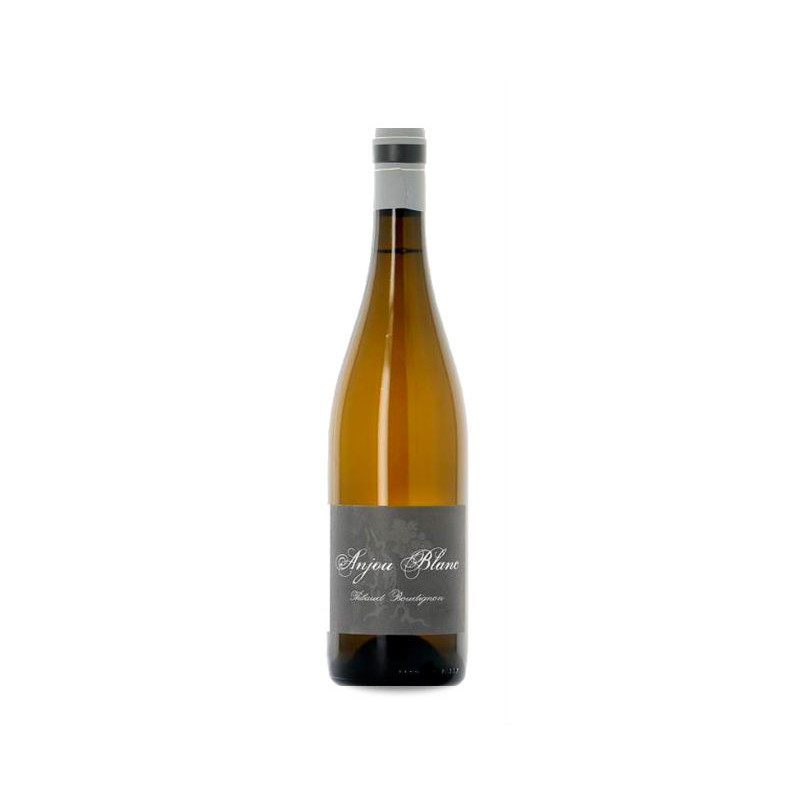Thibaud Boudignon Anjou Blanc 2024
