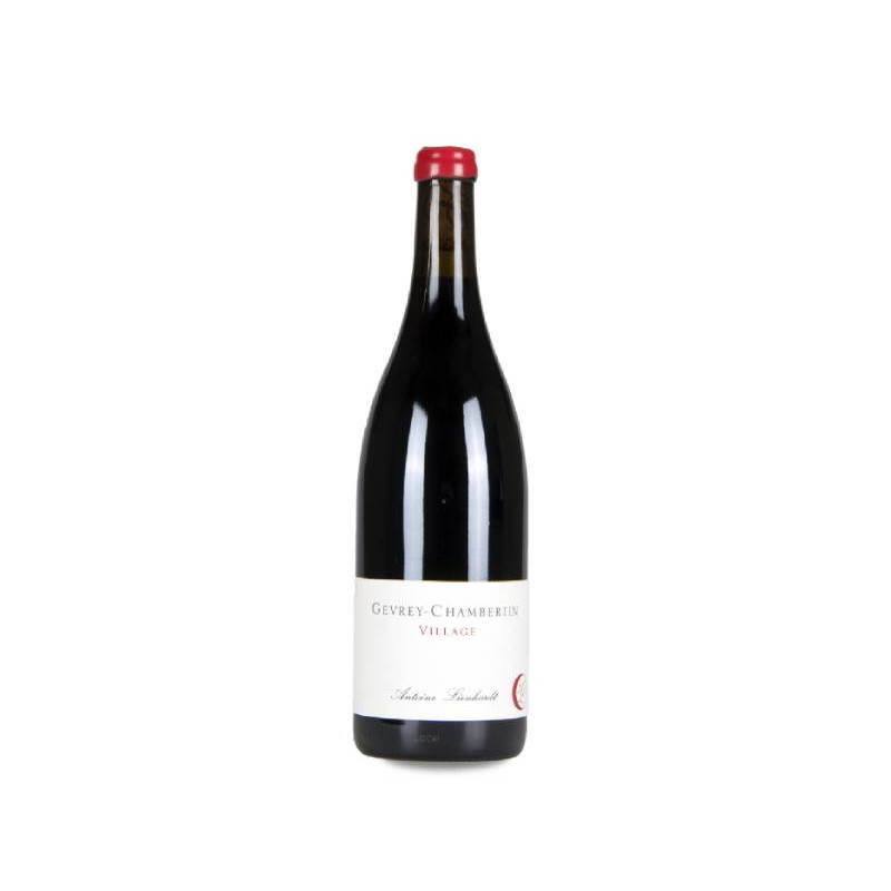 Antoine Lienhardt Gevrey-Chambertin 2023