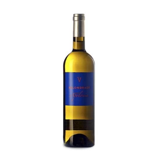Quinta Apolonia Magnum 2024