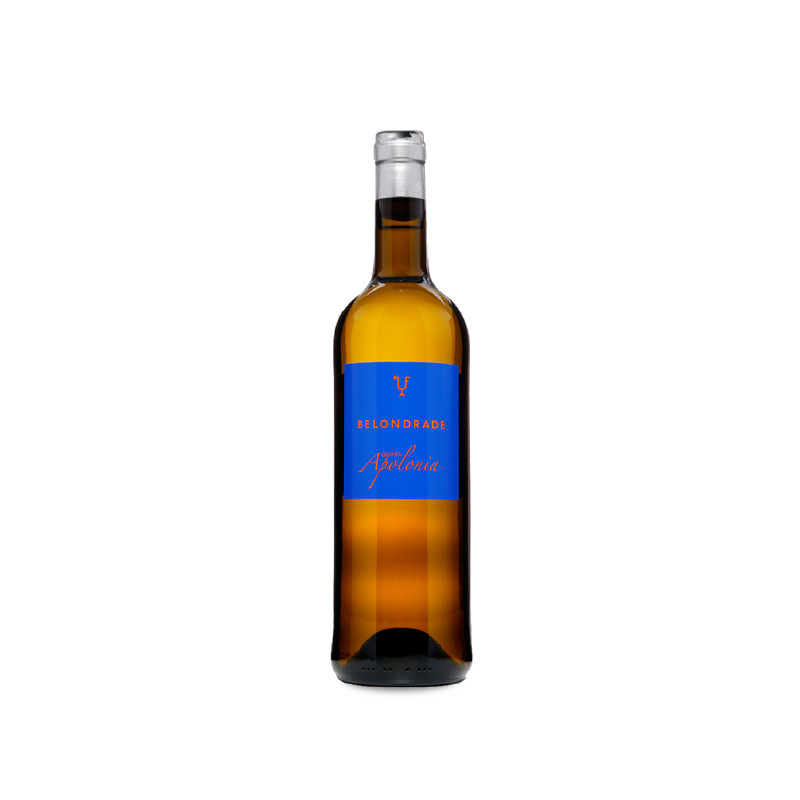 Quinta Apolonia 2025