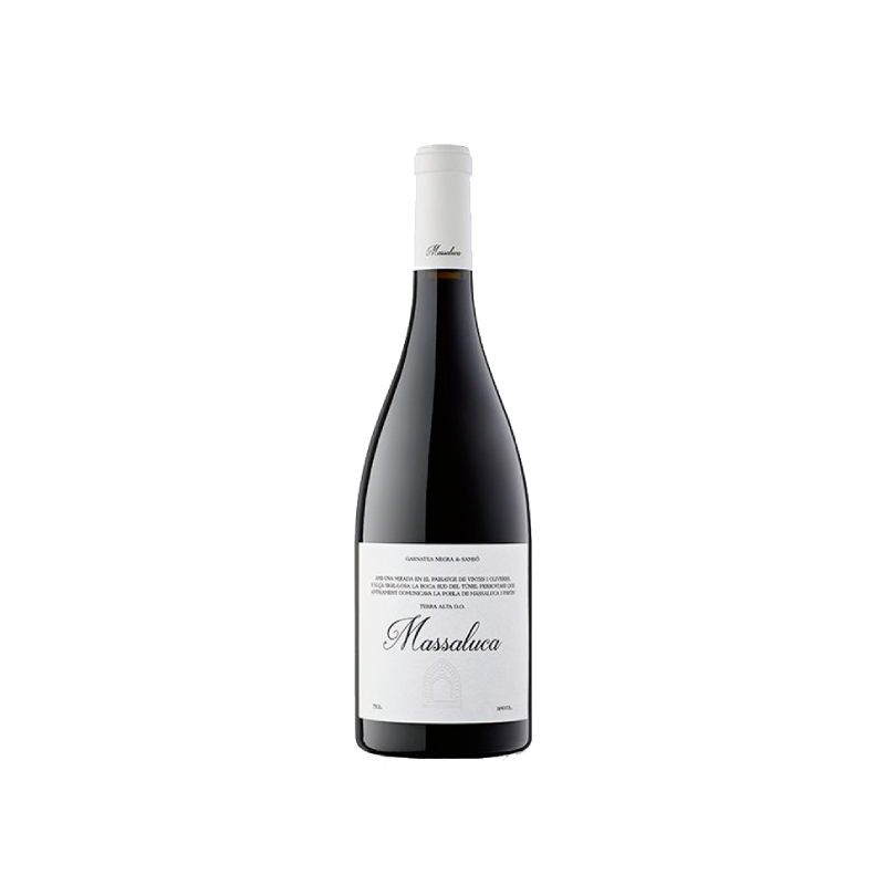 Massaluca Negre 2024