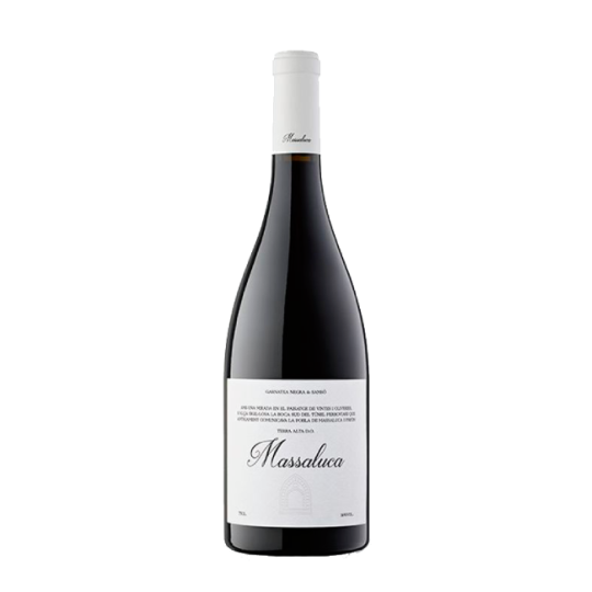 Massaluca Negre 2024