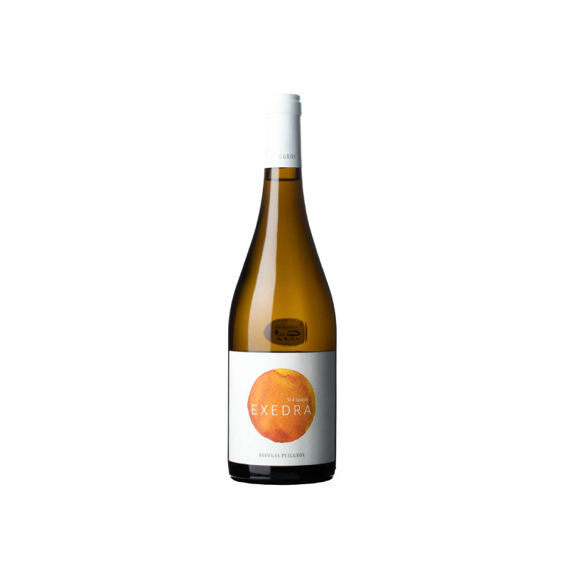 Exedra Amphora Blanc 2024