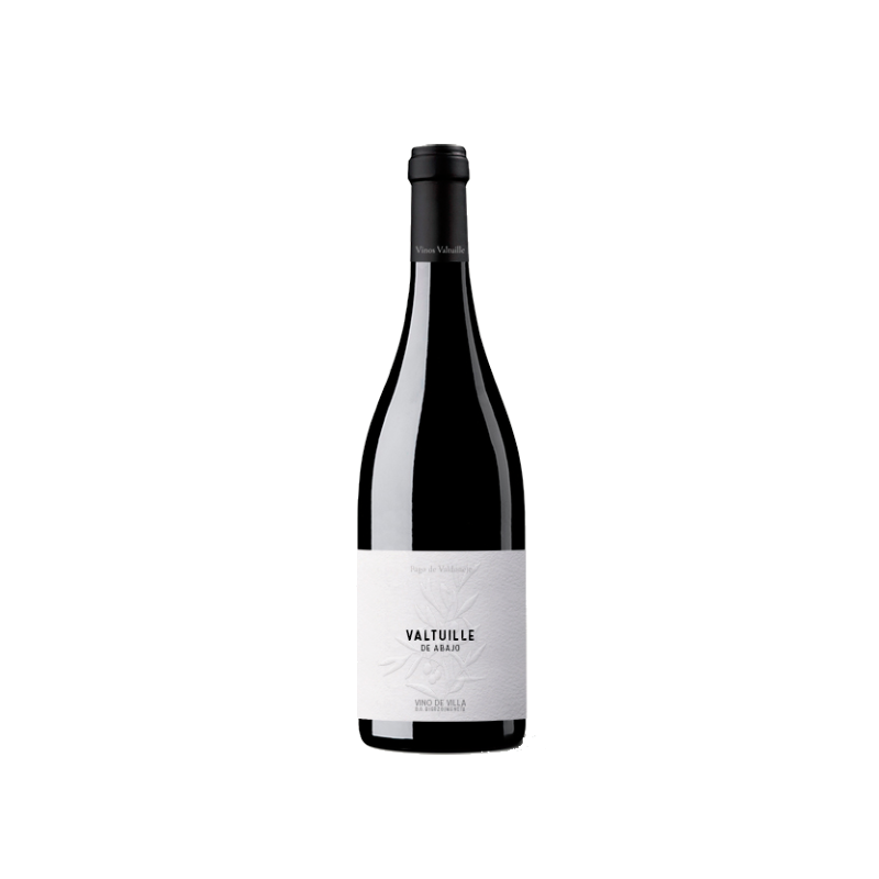Valtuille De Abajo Vino De Villa 2023
