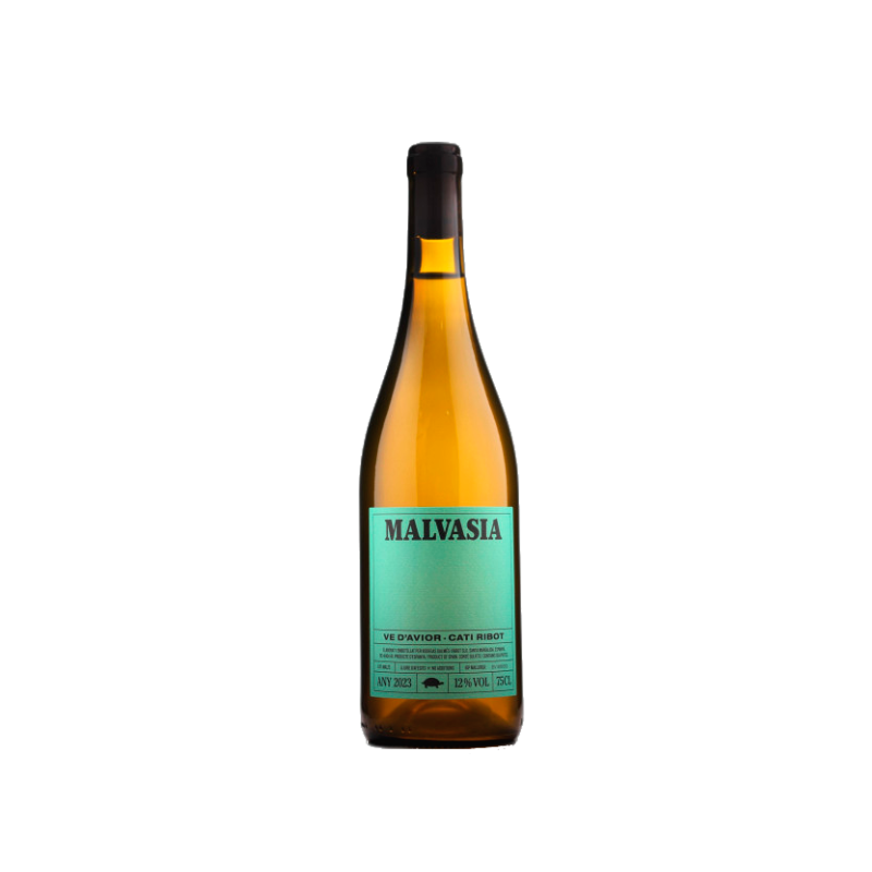 Cati Ribot Malvasia 2025