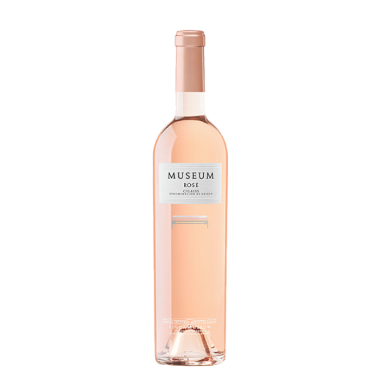 Museum Rose 2024