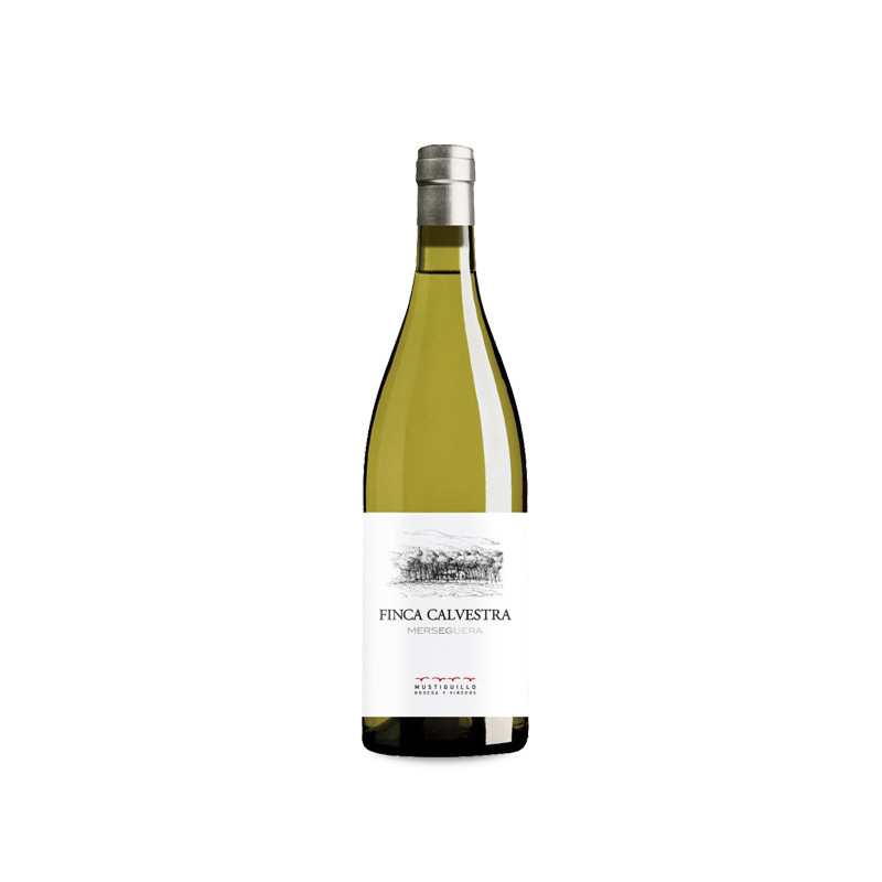Finca Calvestra 2025