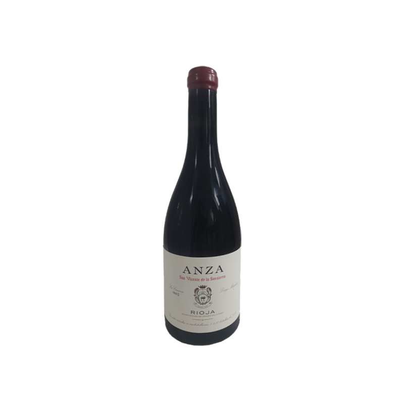 Anza San Vicente 2022