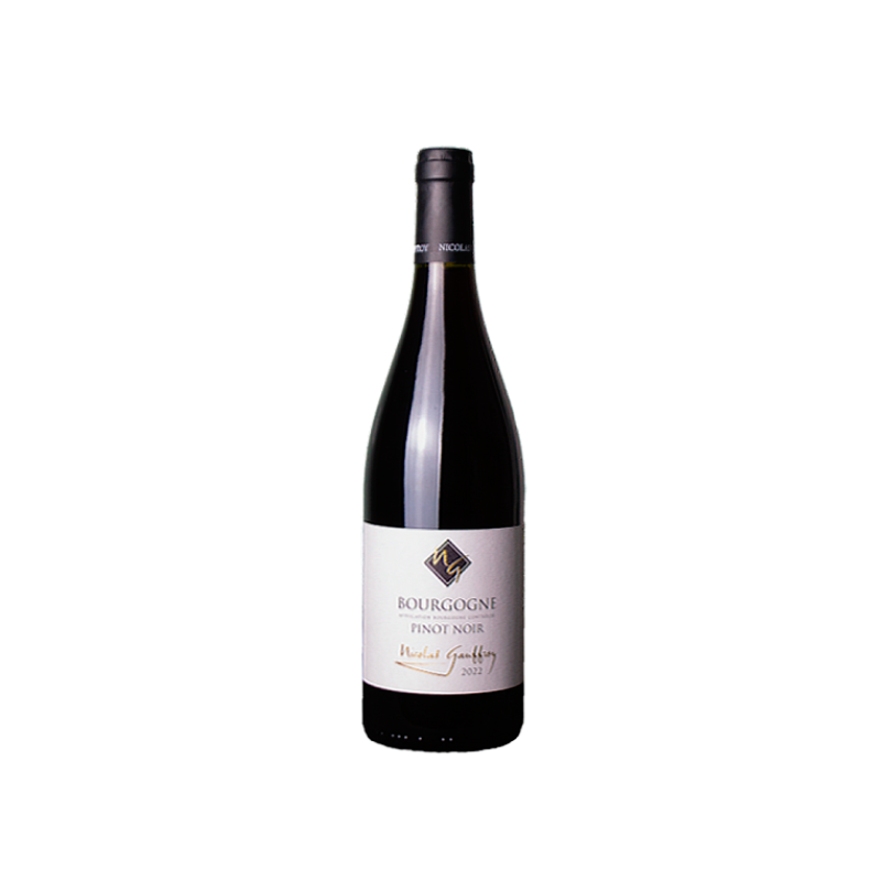 Nicolas Gauffroy Bourgogne Pinot Noir 2023
