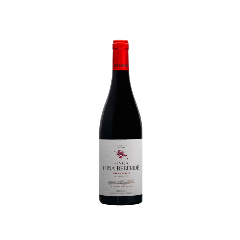 Finca Luna Beberide 2023