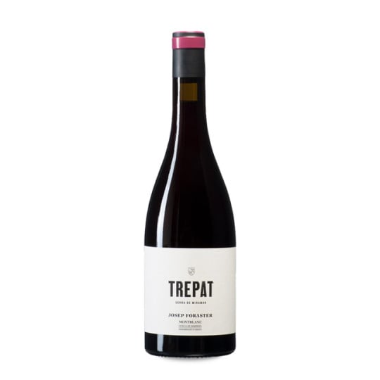 Josep Foraster Trepat 2025