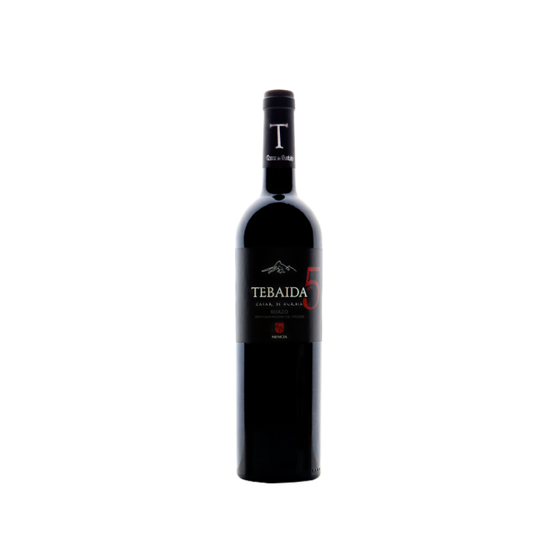 Tebaida Nº 5 2023