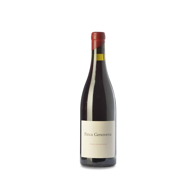 Finca Genoveva Caíño 2023