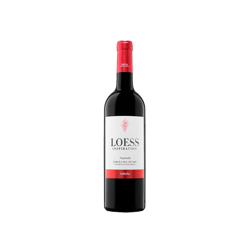 Loess Inspiration 2024