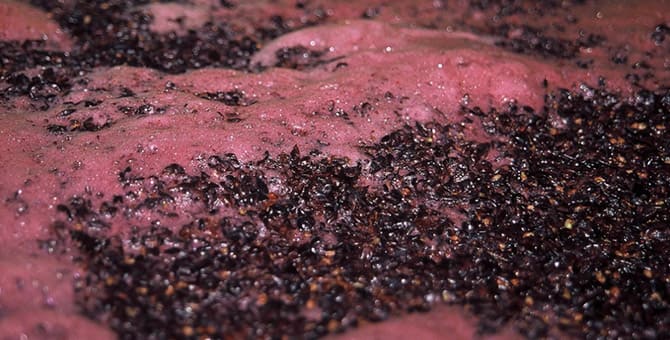 Vins naturals a l’alça