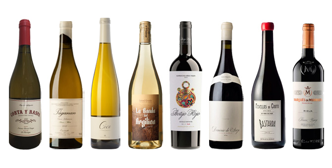 Novetats de vins: nous vins a Decántalo setembre 2017