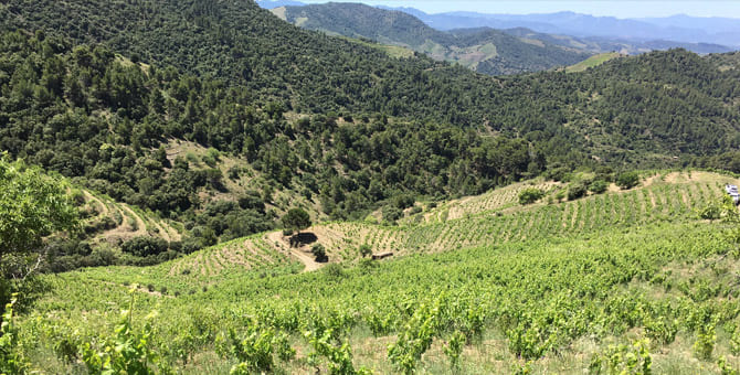 01 Terroir