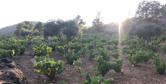 gredos-4