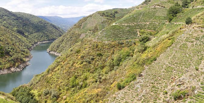 vinos de Galicia puntuados por Parker