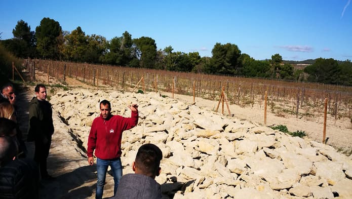 Terroir Raventos